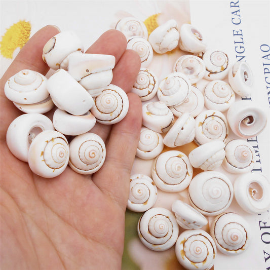 50pcs Open Back Natural Spiral Shell Beads Smooth Cut Oval Seashells Beach Seashells Cowrie Shells Charm Beads