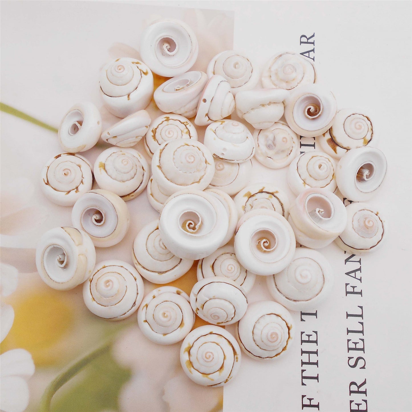 50pcs Open Back Natural Spiral Shell Beads Smooth Cut Oval Seashells Beach Seashells Cowrie Shells Charm Beads