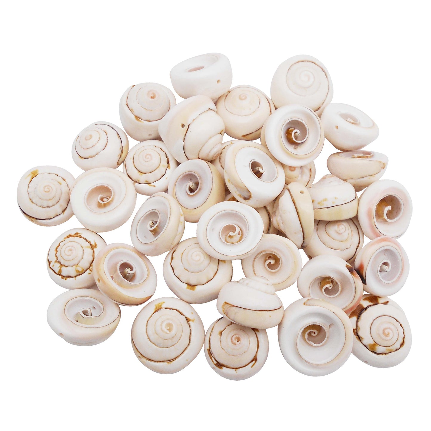 50pcs Open Back Natural Spiral Shell Beads Smooth Cut Oval Seashells Beach Seashells Cowrie Shells Charm Beads