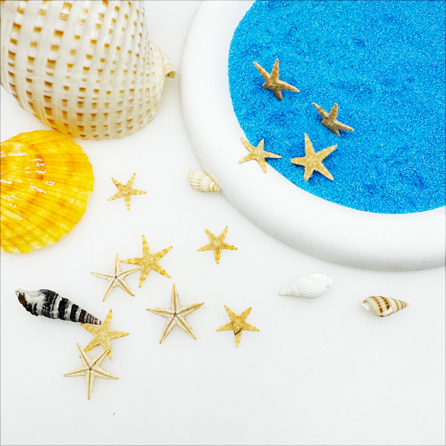 JJGQAZ 1 Box 100PCS Small Tiny Medium Starfish for Crafts Natural Star Starfish for Wedding Beach Theme Party, Home Decorations DIY Jewelry