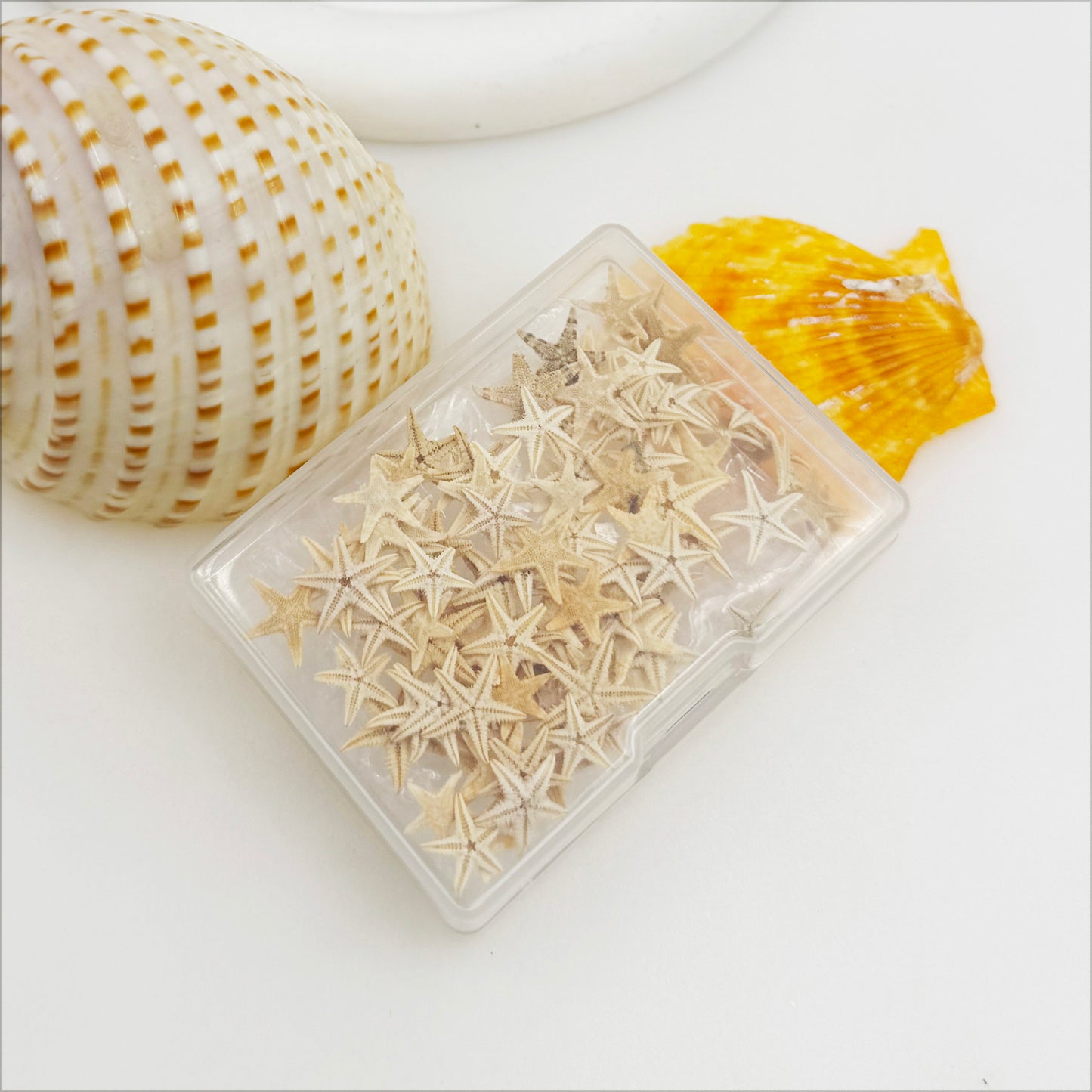 JJGQAZ 1 Box 100PCS Small Tiny Medium Starfish for Crafts Natural Star Starfish for Wedding Beach Theme Party, Home Decorations DIY Jewelry