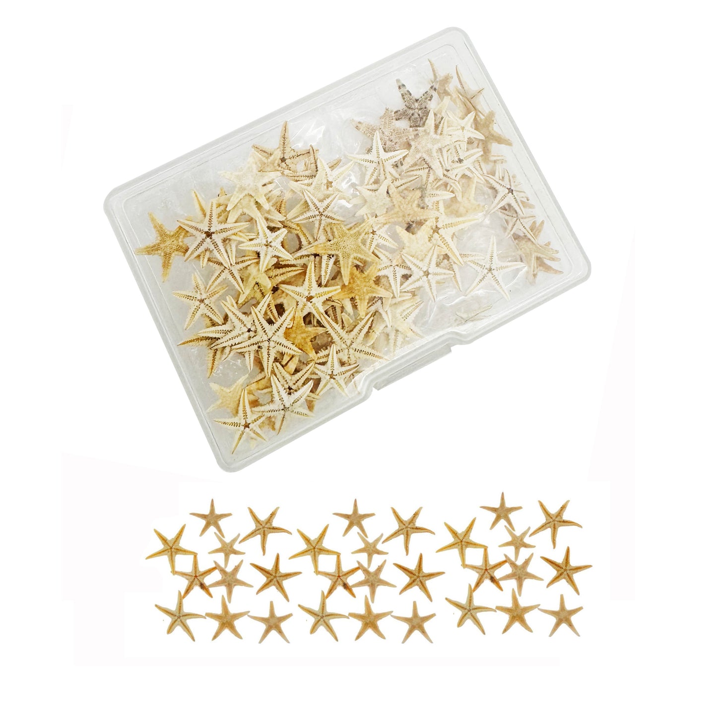 JJGQAZ 1 Box 100PCS Small Tiny Medium Starfish for Crafts Natural Star Starfish for Wedding Beach Theme Party, Home Decorations DIY Jewelry